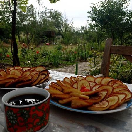 Ferienwohnung Dusheti Rose Dushet'i Exterior foto