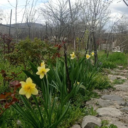 Ferienwohnung Dusheti Rose Dushet'i Exterior foto