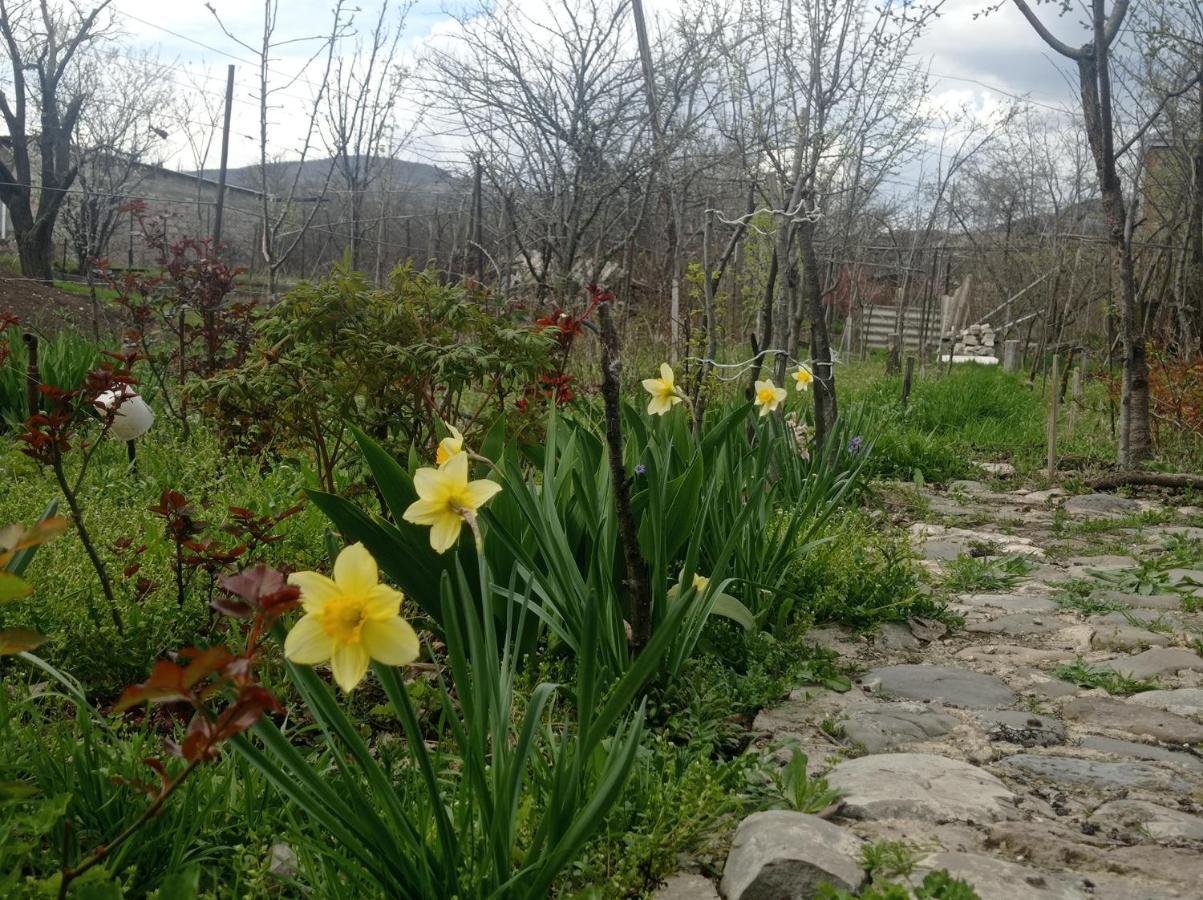 Ferienwohnung Dusheti Rose Dushet'i Exterior foto